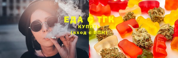 крисы Аркадак