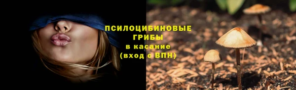 СК Армянск