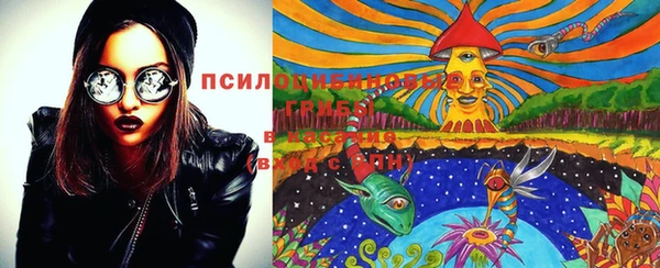 крисы Аркадак