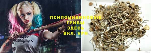 крисы Аркадак